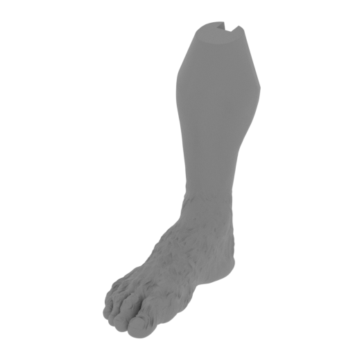 8_foot_R_FDM(repaired).stl