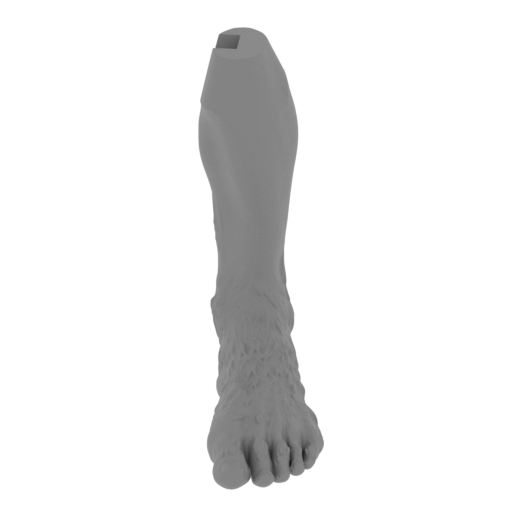 9_foot_L_FDM(repaired).stl