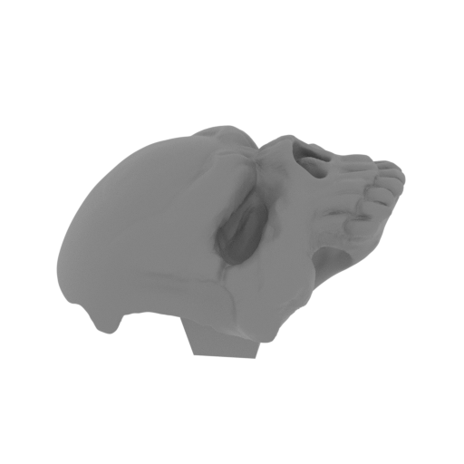 12_scull_on_belt_FDM(repaired).stl