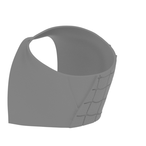 10_pelvis_1_FDM(repaired).stl