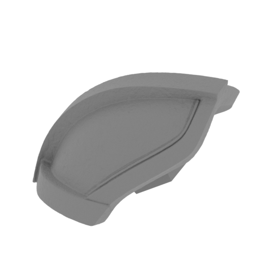 12_scapular_R_FDM(repaired).stl