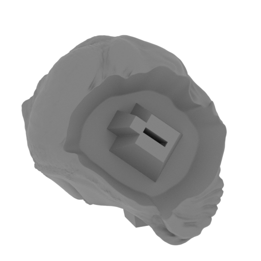 3_pelvis_FDM(repaired).stl