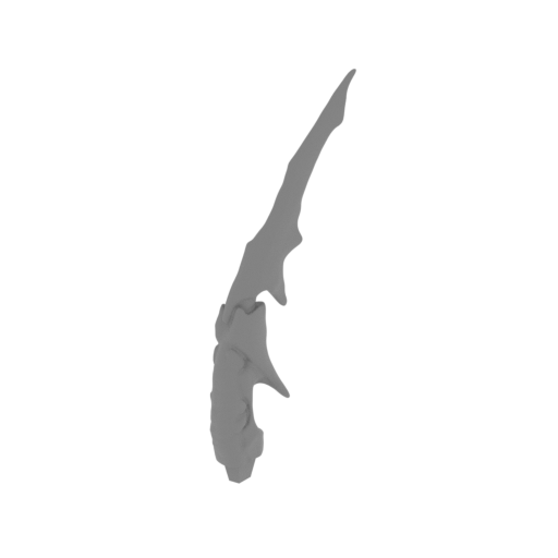 36_tail_13_FDM(repaired).stl