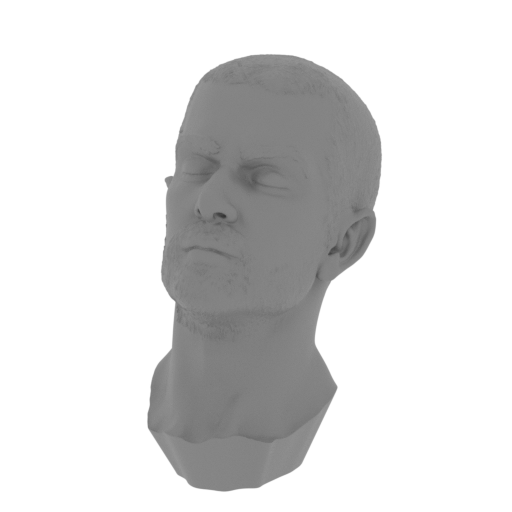 1_head_FDM(repaired).stl