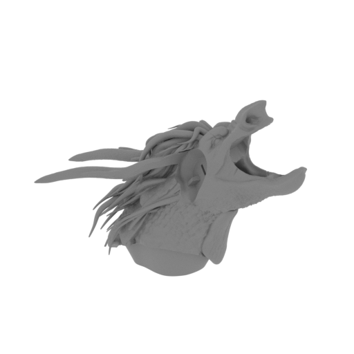 21_Jocker_Dragon_head_FDM(repaired).stl