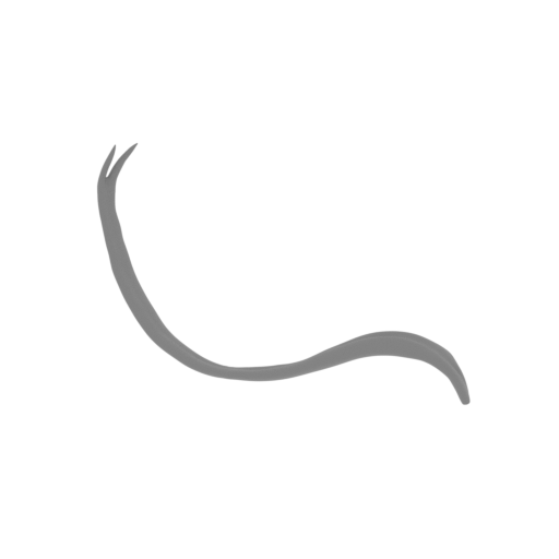 2_tongue_FDM(repaired).stl