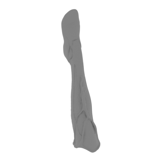 13_foot_L_FDM(repaired).stl