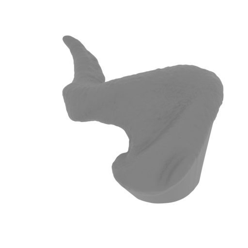 5_turkey_wing_R_FDM(repaired).stl