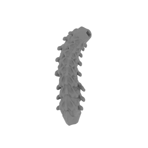 32_Alien_tail_1_FDM(repaired).stl