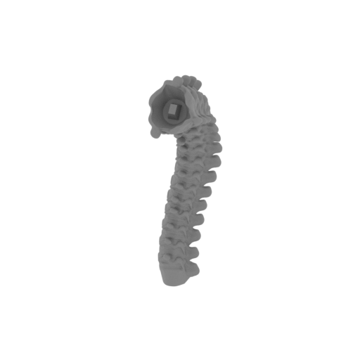 33_Alien_tail_2_FDM(repaired).stl