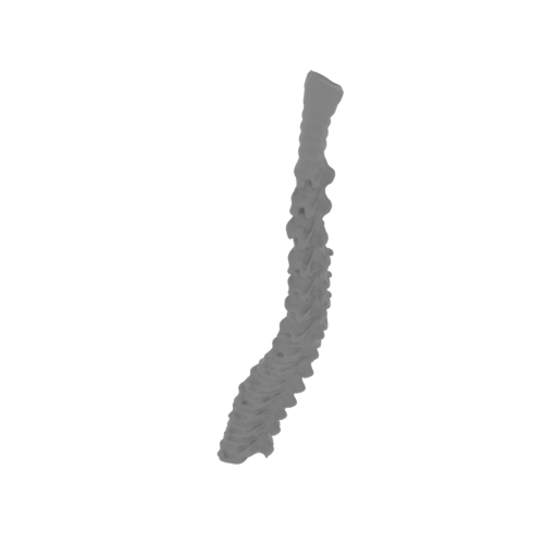 35_Alien_tail_4_FDM(repaired).stl