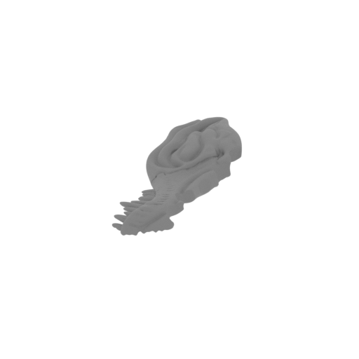 50_Thron_jaw_2_L_FDM(repaired).stl