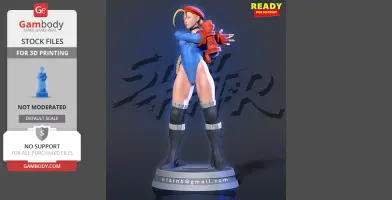 cammy5.png
