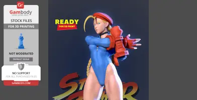 cammy6.png