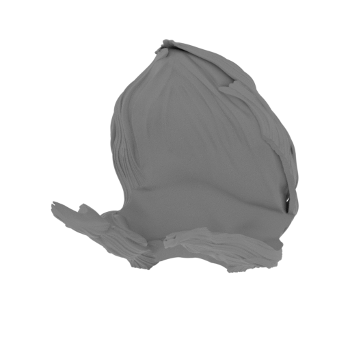 2_hair_FDM(repaired).stl