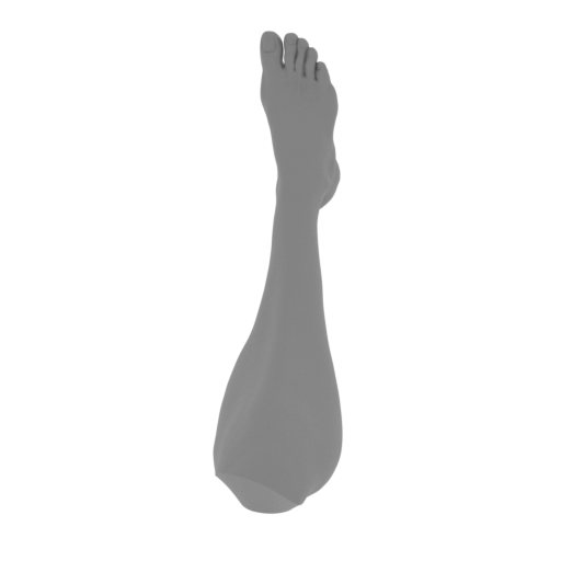 11_foot_R_FDM(repaired).stl