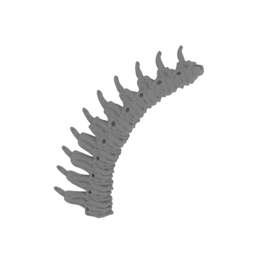 25_tail_3_FDM(repaired).stl