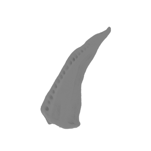 27_tail_5_FDM(repaired).stl