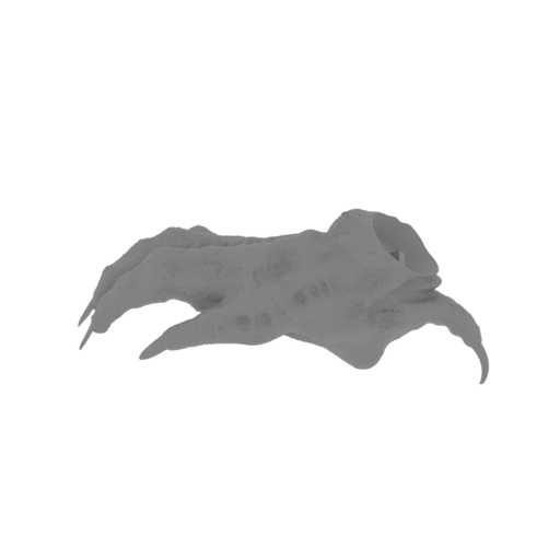 12_foot_R_FDM(repaired).stl