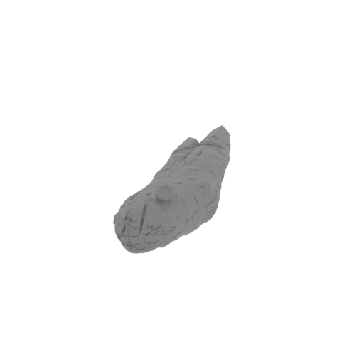 9_arm_shield_FDM(repaired).stl