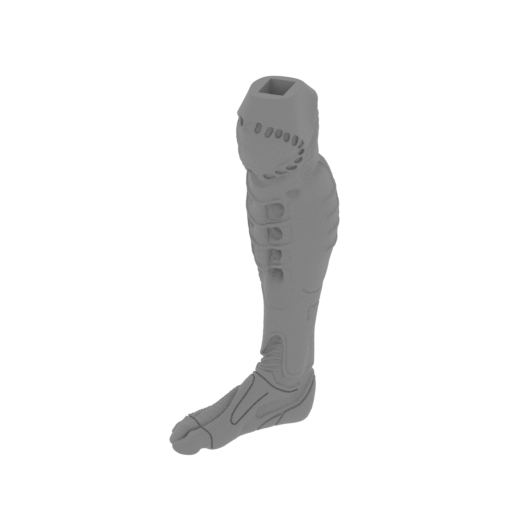 8_foot_R_FDM(repaired).stl