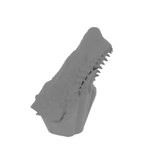 2_low_jaw_FDM(repaired).stl