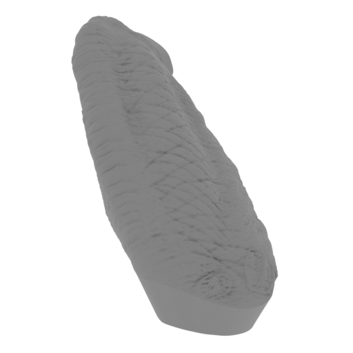 11_leg_R_1_FDM(repaired).stl