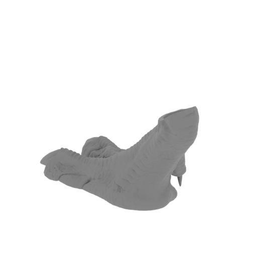 13_foot_R_FDM(repaired).stl