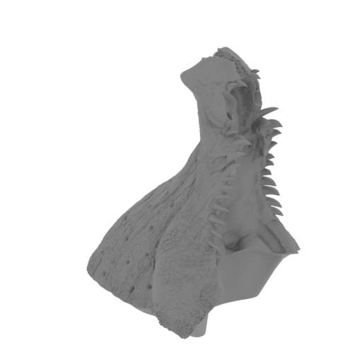 5_jaw_low_FDM(repaired).stl