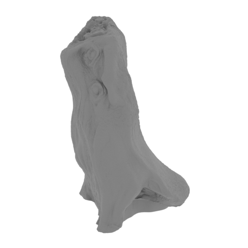 2_eye_R_FDM(repaired).stl