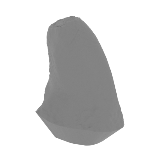 4_the_chin_R_FDM(repaired).stl