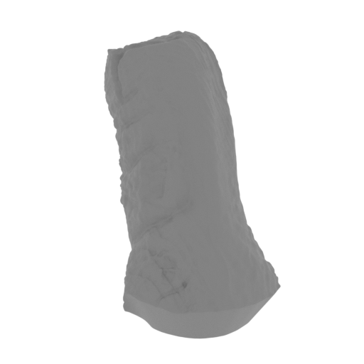 5_the_chin_L_FDM(repaired).stl