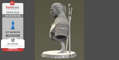 A detailed 3D bust of a fantasy character with long hair and armor, designed for 3D printing.