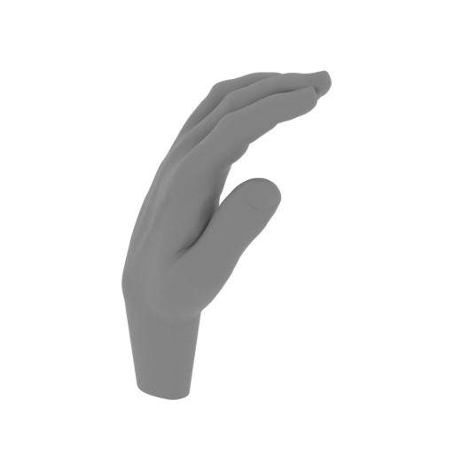 10_hand_L_FDM(repaired).stl
