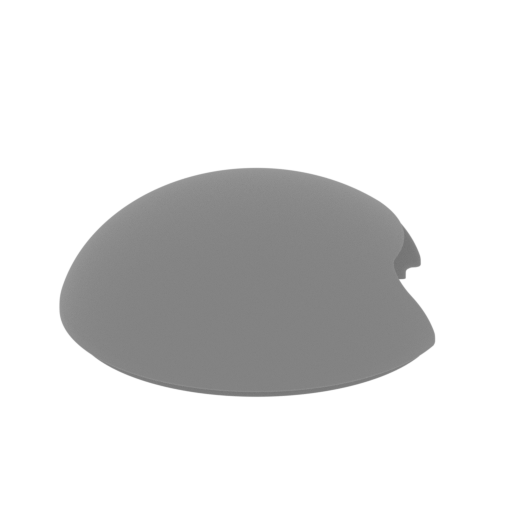 _29_wheel_front_disk_out_clear_L_FDM (repaired).stl