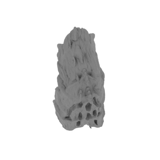 6_tail_3_FDM(repaired).stl