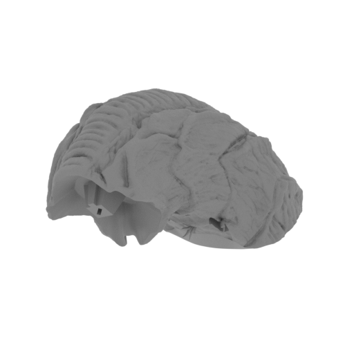 5_tail_2_FDM(repaired).stl