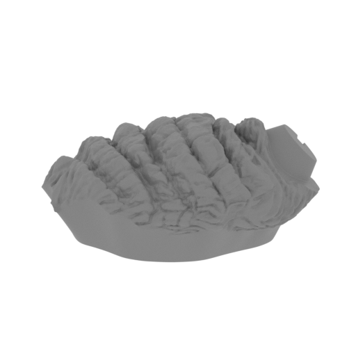 11_arm_L_1_FDM(repaired).stl