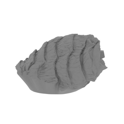 17_leg_L_1_FDM(repaired).stl