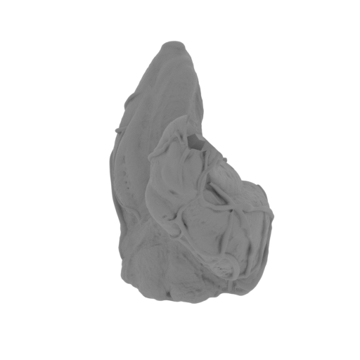 5_pelvis_FDM(repaired).stl
