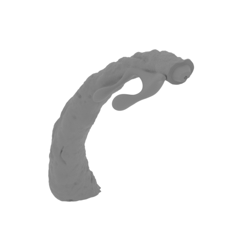 23_tentacle_2_2_FDM(repaired).stl