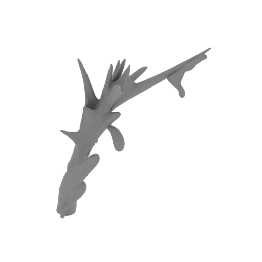 24_tentacle_2_3_FDM(repaired).stl