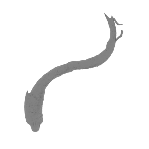 37_tentacle_5_3_FDM(repaired).stl