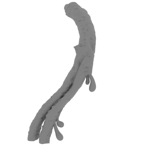 39_tentacle_6_2_FDM(repaired).stl