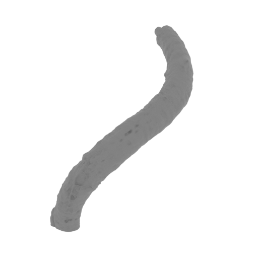 40_tentacle_6_3_FDM(repaired).stl