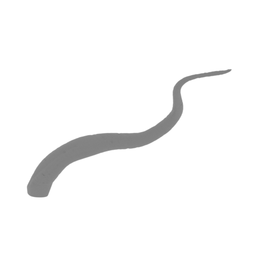 47_tentacle_12_FDM(repaired).stl