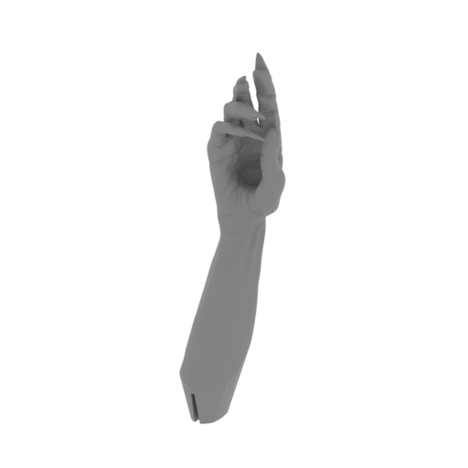 5_hand_R_FDM(repaired).stl