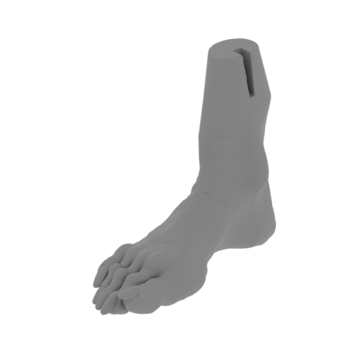 9_foot_R_FDM(repaired).stl