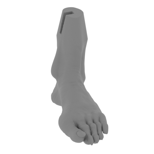 10_foot_L_FDM(repaired).stl