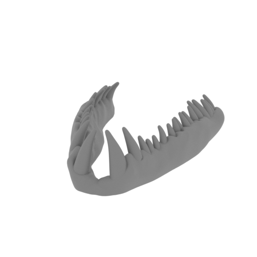 16_jaw_top_FDM(repaired).stl